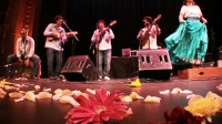 Son Jarocho_Hanna_11web
