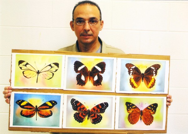Mariposas_01web